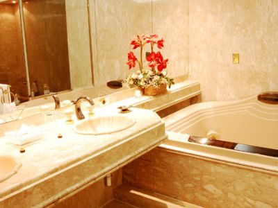 Hotel Carlton 4*